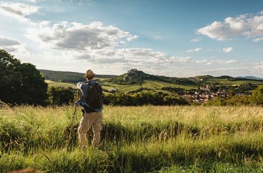 Falkeinstein, © Weinstraße Weinviertel Veltlinerland / Himml